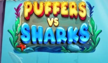 Puffers Vs Sharks